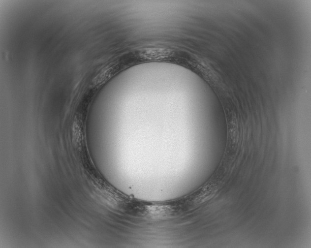 X0000060560371200511171611
