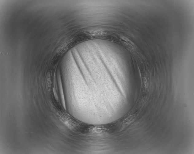 X0000060560372200511171611
