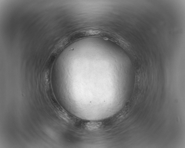 X0000060560373200511171611