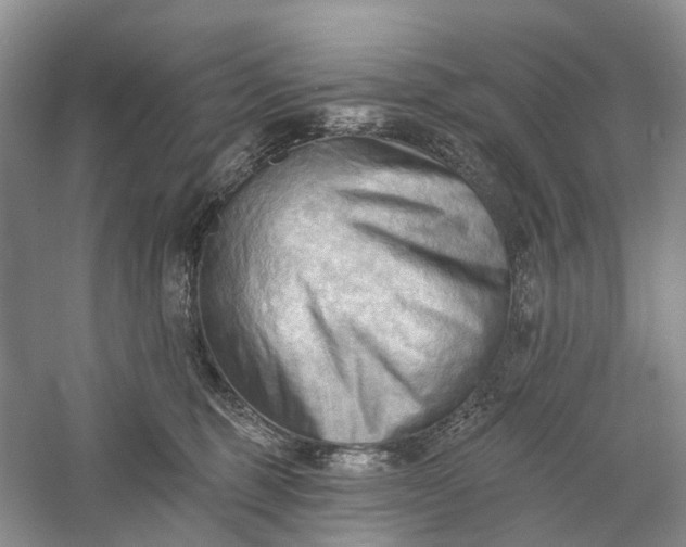X0000060560375200511171611