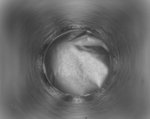 X0000060560376200511171611
