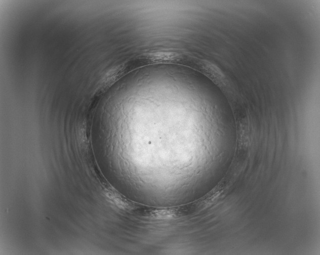 X0000060560377200511171612