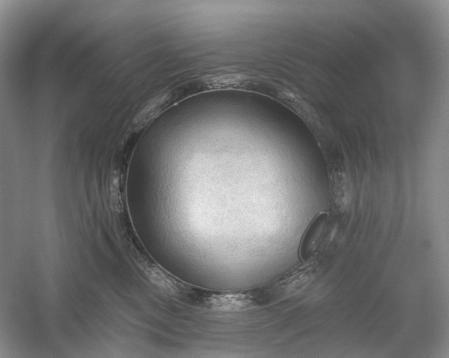 X0000060560378200511171612