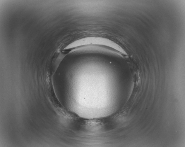 X0000060560380200511171612
