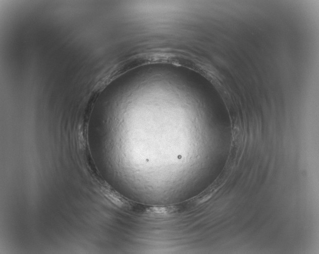 X0000060560381200511171612