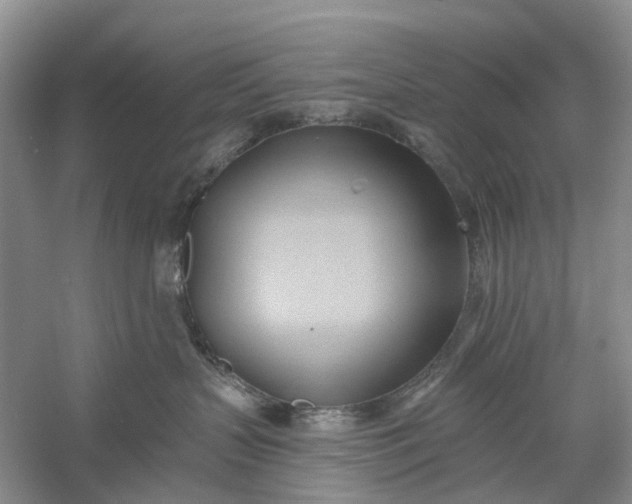 X0000060560383200511171612