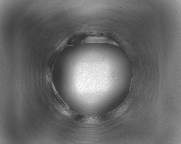 X0000060560384200511171612
