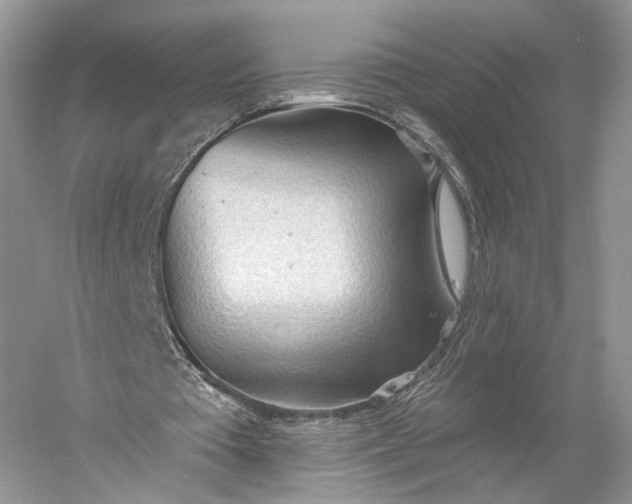 X0000060560385200511171611