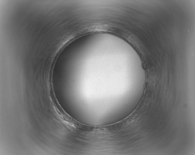 X0000060560386200511171611