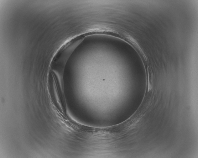 X0000060560387200511171611
