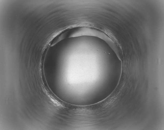 X0000060560389200511171611
