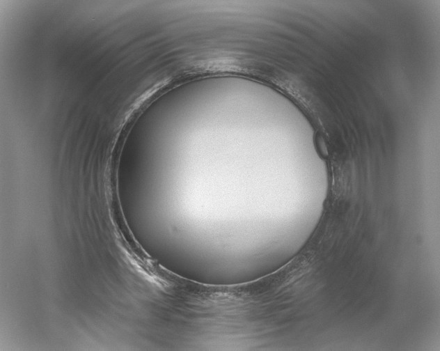 X0000060560390200511171611