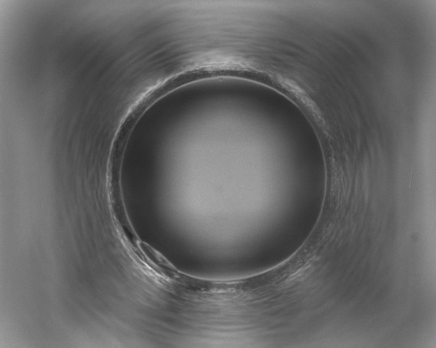 X0000060560391200511171611