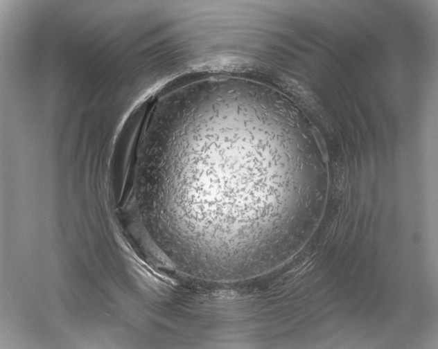 X0000060560392200511171611