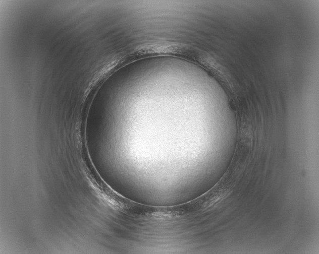 X0000060560394200511171611