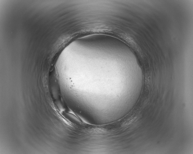 X0000060560397200511171611