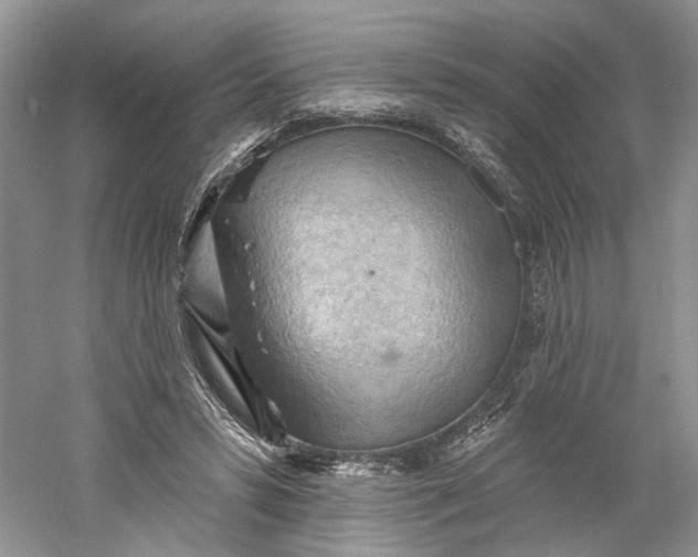X0000060560399200511171611