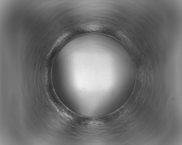 X0000060560400200511171611
