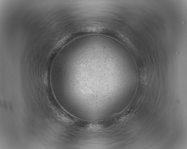X0000060560403200511171610