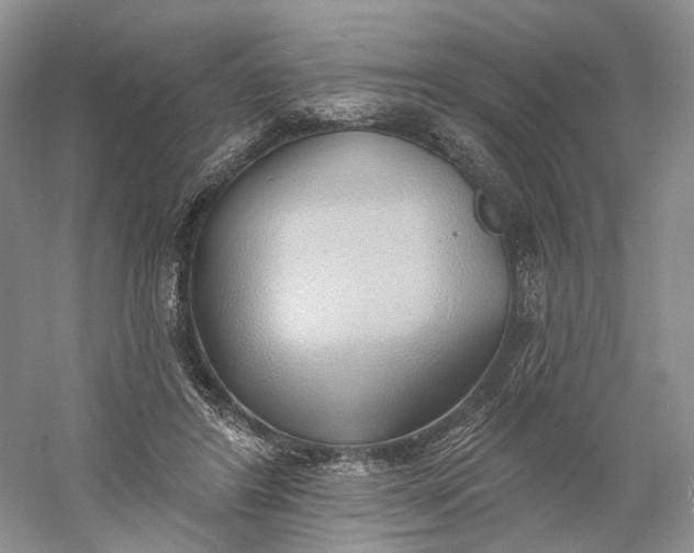 X0000060560404200511171610