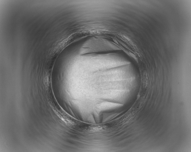 X0000060560405200511171610