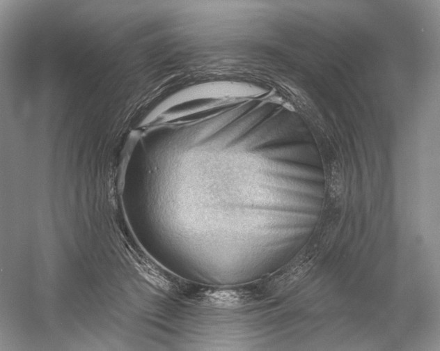 X0000060560409200511171610