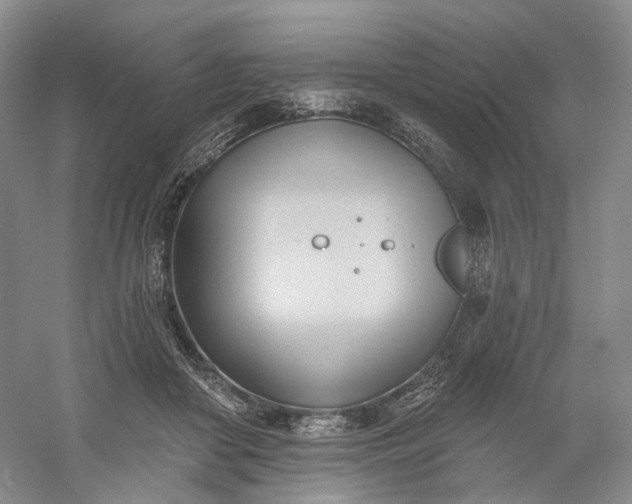 X0000060560410200511171610