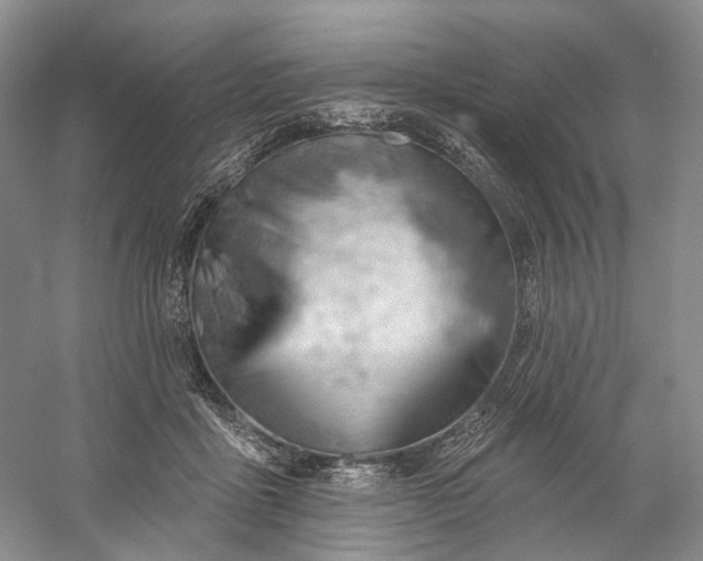 X0000060560411200511171610