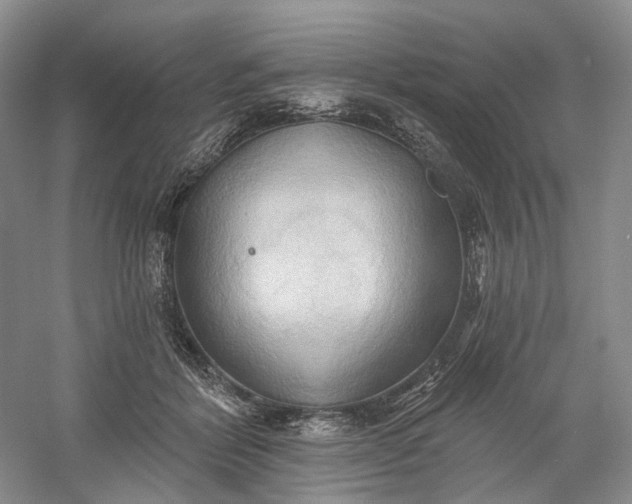 X0000060560412200511171610