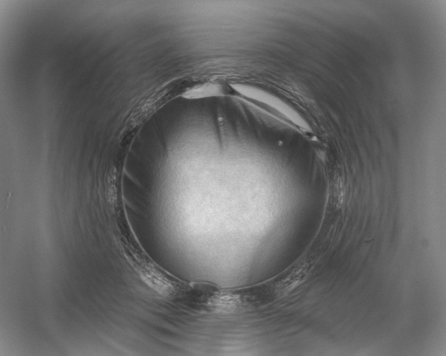 X0000060560413200511171610