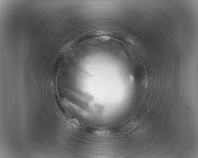 X0000060560415200511171610