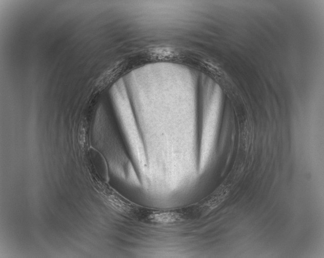 X0000060560417200511171610