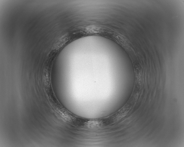 X0000060560418200511171610