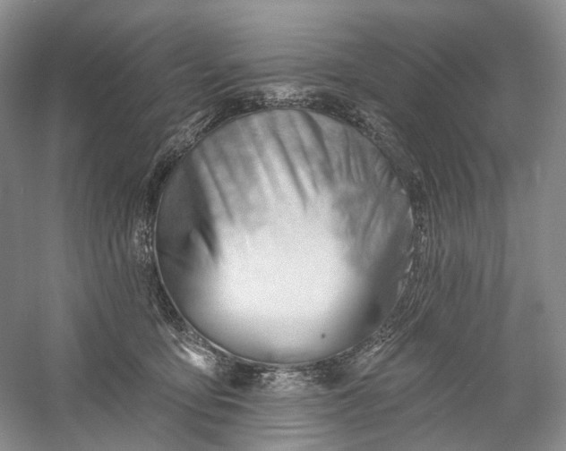 X0000060560419200511171610