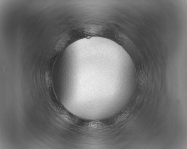 X0000060560420200511171610