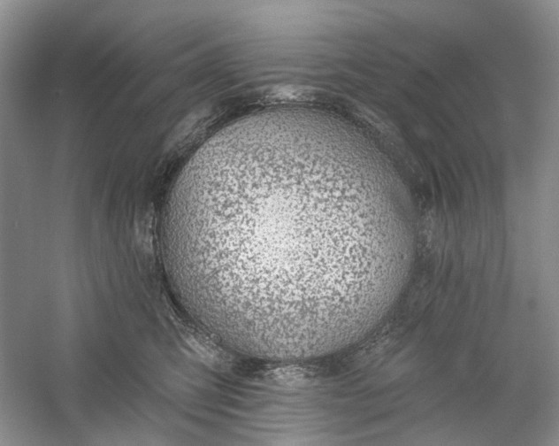 X0000060560423200511171610
