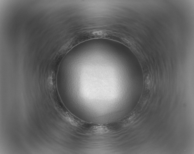 X0000060560424200511171610