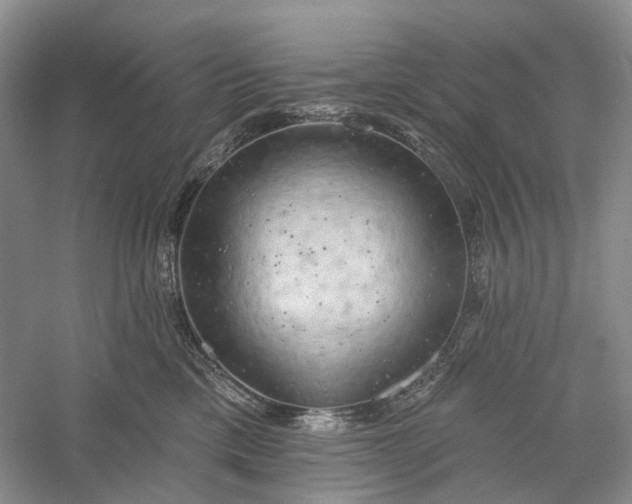 X0000060560425200511171610