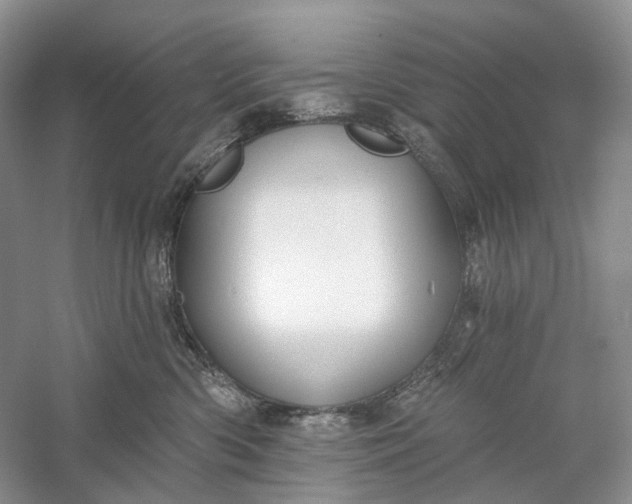X0000060560426200511171610