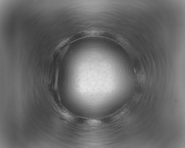 X0000060560429200511171610