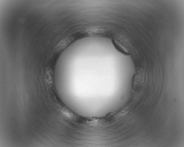 X0000060560430200511171610
