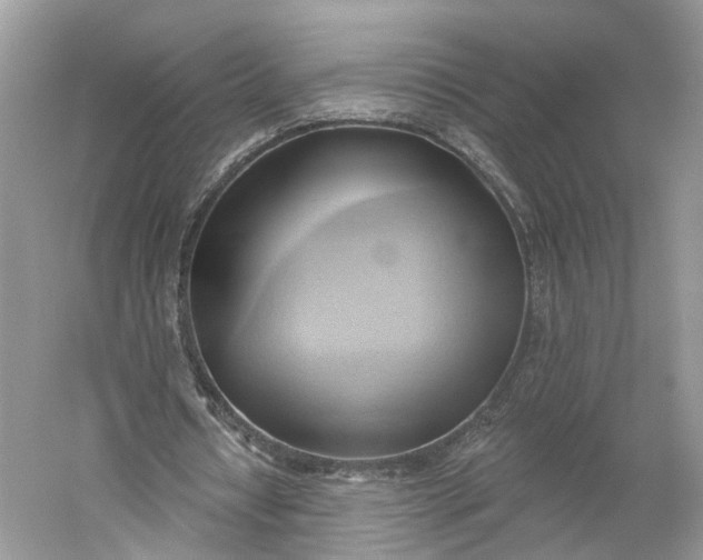 X0000060560434200511171609