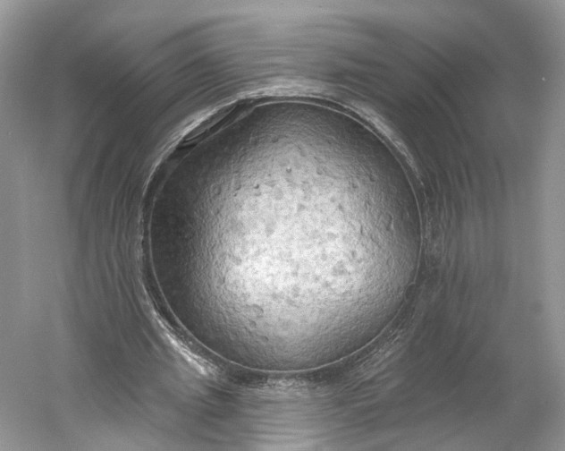 X0000060560437200511171609