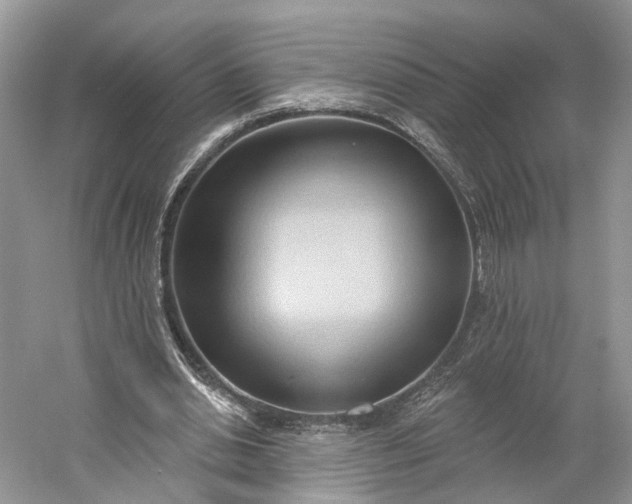 X0000060560438200511171609