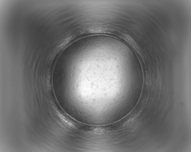 X0000060560441200511171609