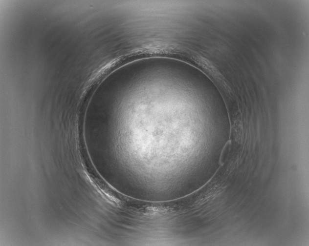 X0000060560442200511171609