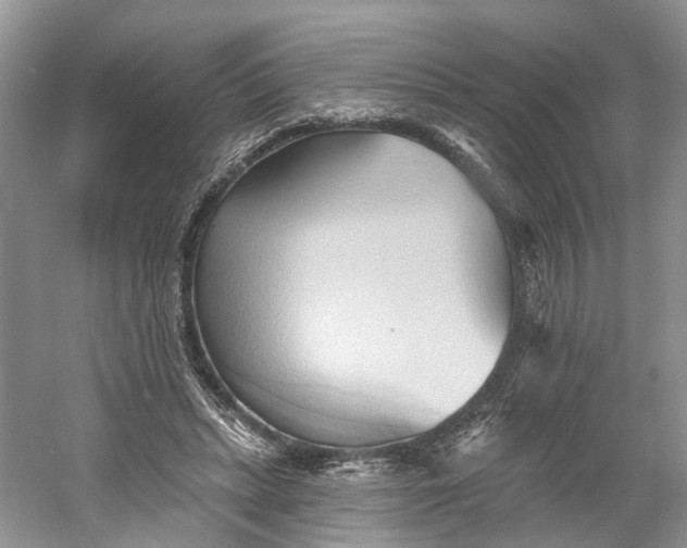 X0000060560447200511171609