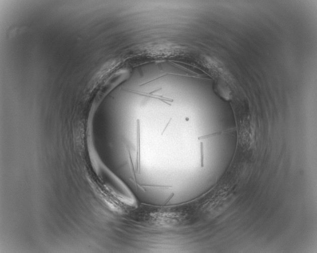 X0000060560448200511171609