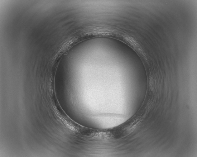 X0000060560449200511171609