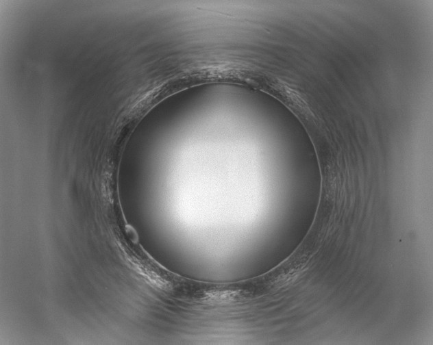 X0000060560450200511171609